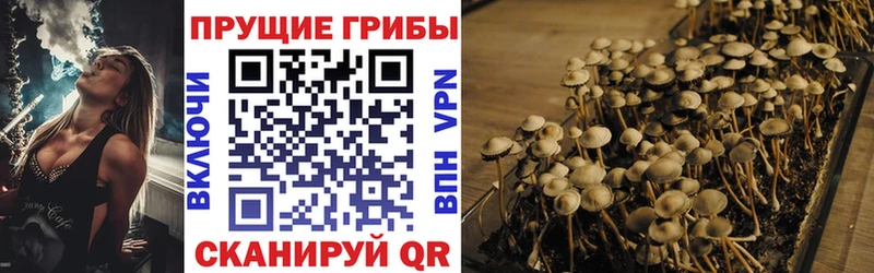 KRAKEN ССЫЛКА  даркнет официальный сайт  Псилоцибиновые грибы Psilocybe  как найти закладки  Трёхгорный 